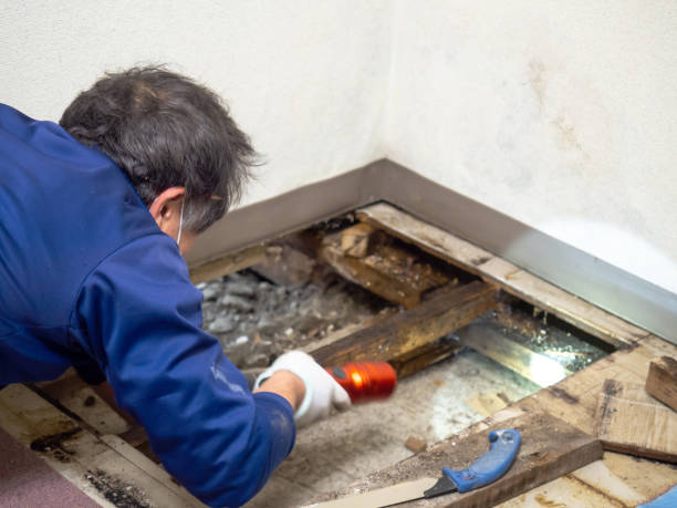 Best Mold Testing  in Tracy, CA