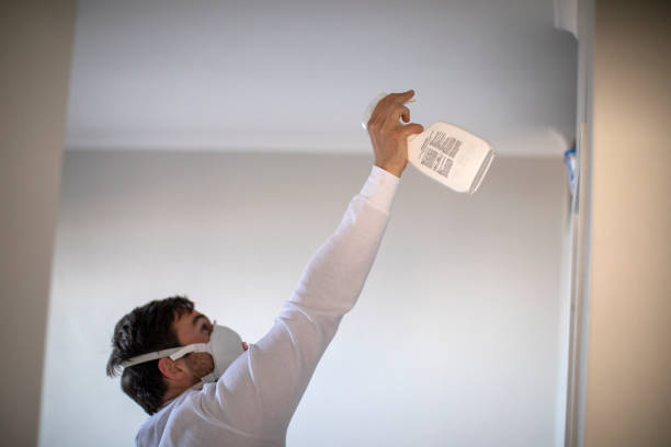 Best Office Mold Removal Services  in Tracy, CA